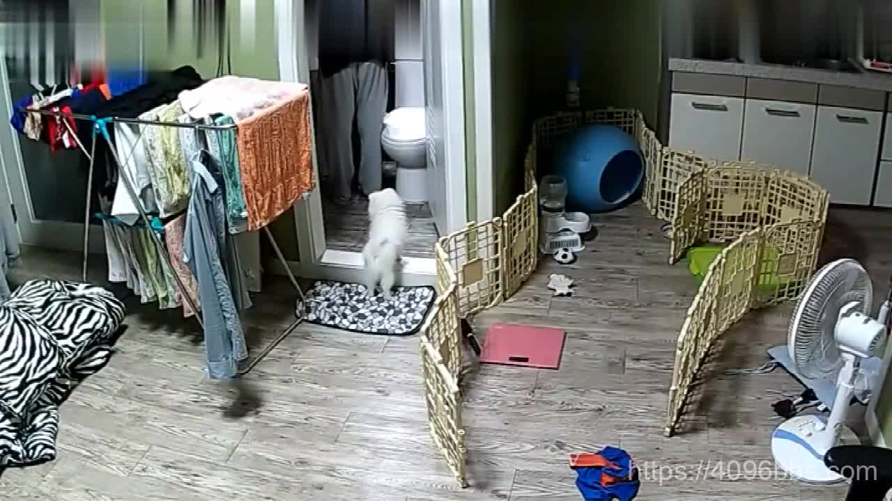 居家网络摄像被黑偸拍年轻小媳妇大姨妈期间不能啪啪啪只好卖力抹油给老公撸J8撸的咕叽咕叽响最后颜射口爆